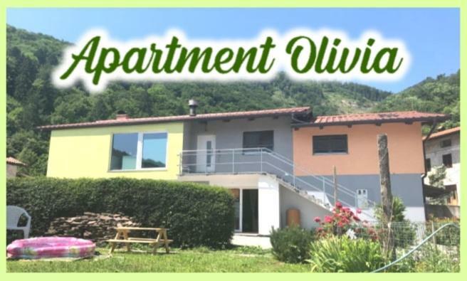 Apartment Olivia Ciginj Exterior photo